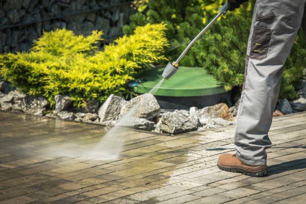 Best Restaurant Pressure Washing  in Chesapeake, VA