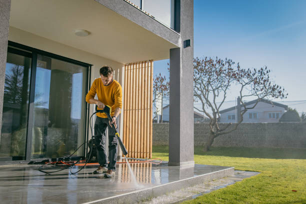 Best Sidewalk and Walkway Cleaning  in Chesapeake, VA