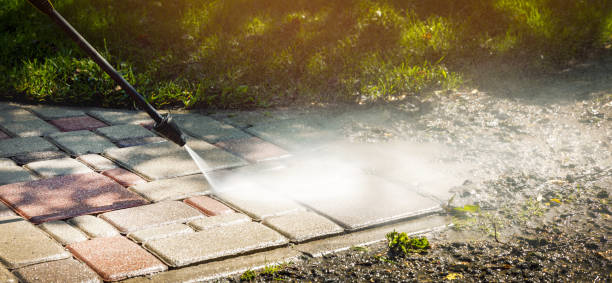 Best Roof Washing  in Chesapeake, VA